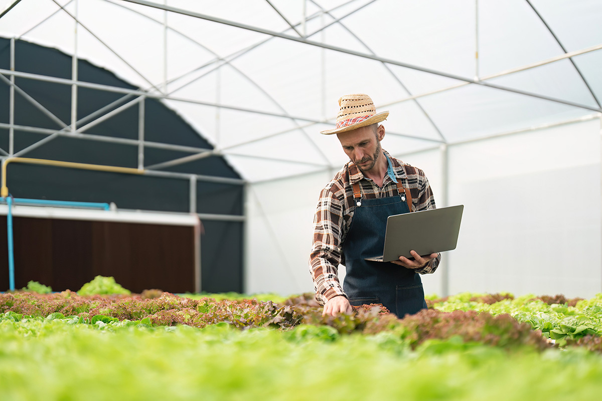 hydroponics vegetable farm male farmer checking v 2023 11 27 04 54 38 utc 2 Case Study: Rivoluzionare l'agricoltura nelle aree remote con le soluzioni IoT