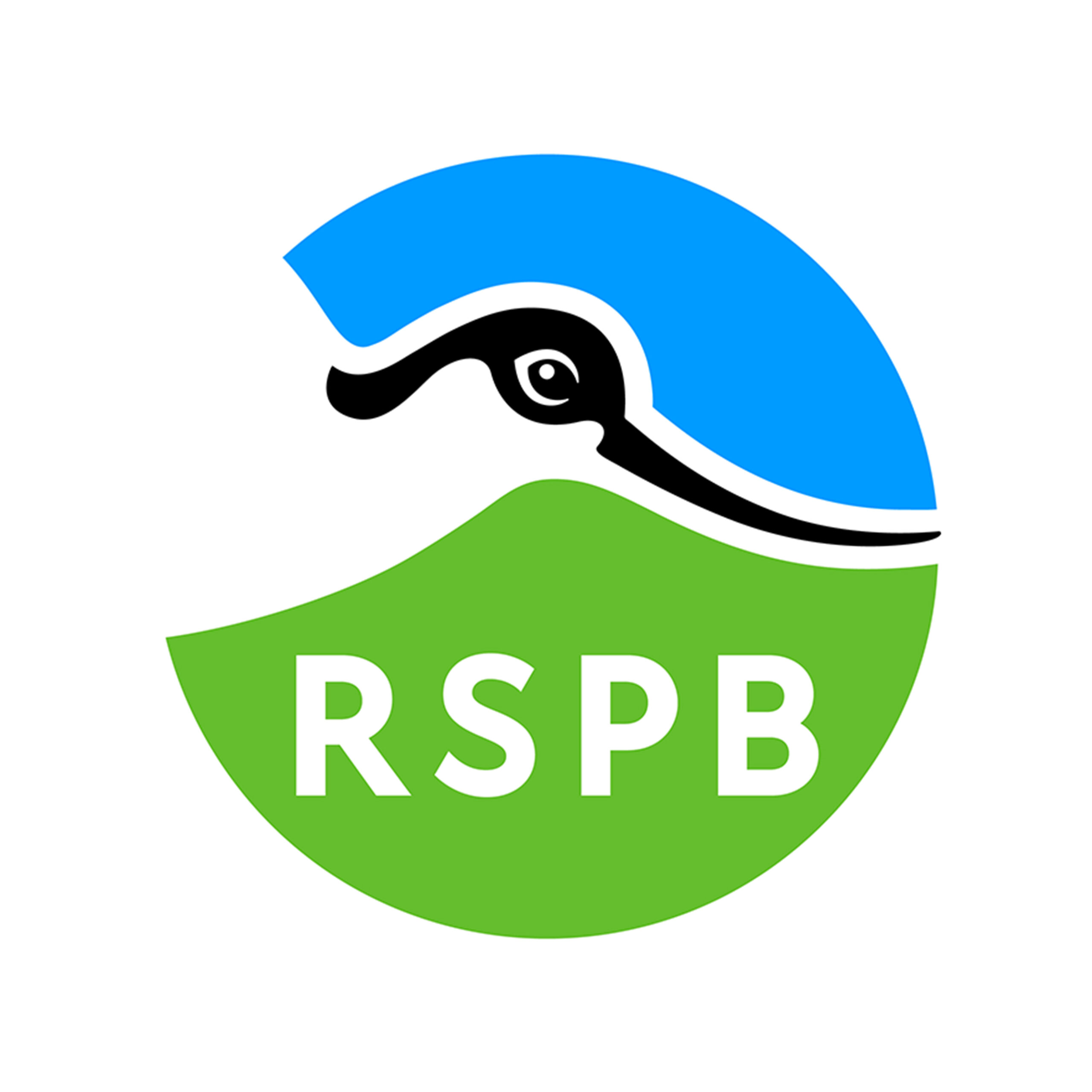 rspB